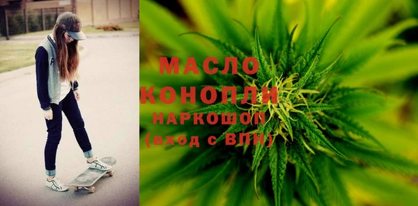 гашик Бородино