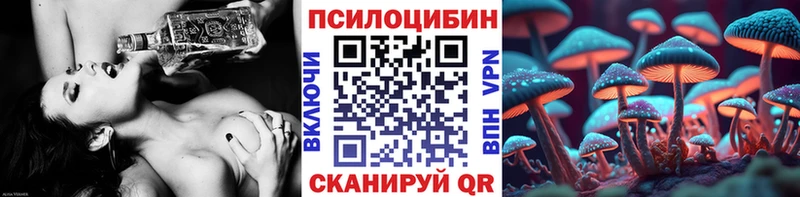 сколько стоит  Волгореченск  omg как зайти  Галлюциногенные грибы мухоморы 